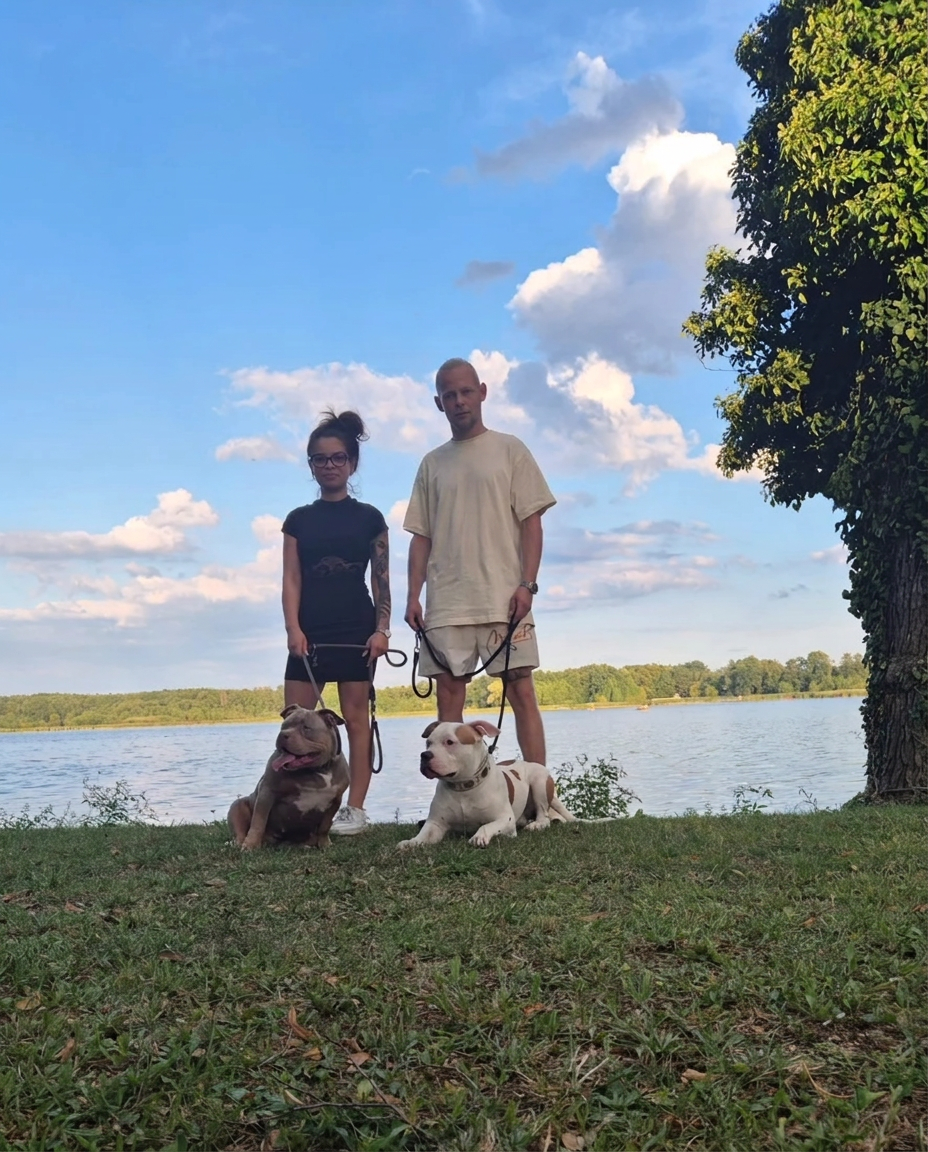 Life with our dogs — life with our American Bullies near Alicante, Spain