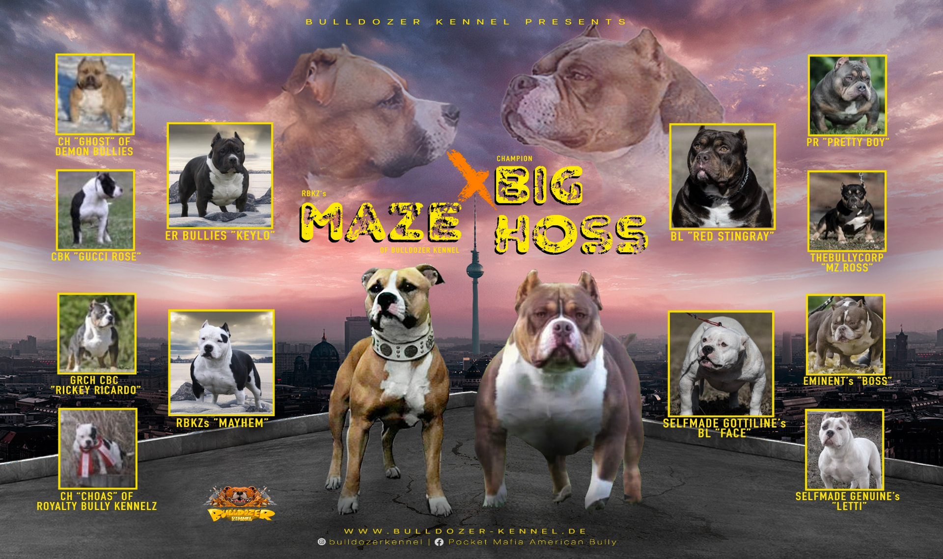 Maze × Big Hoss — breeding announcement
