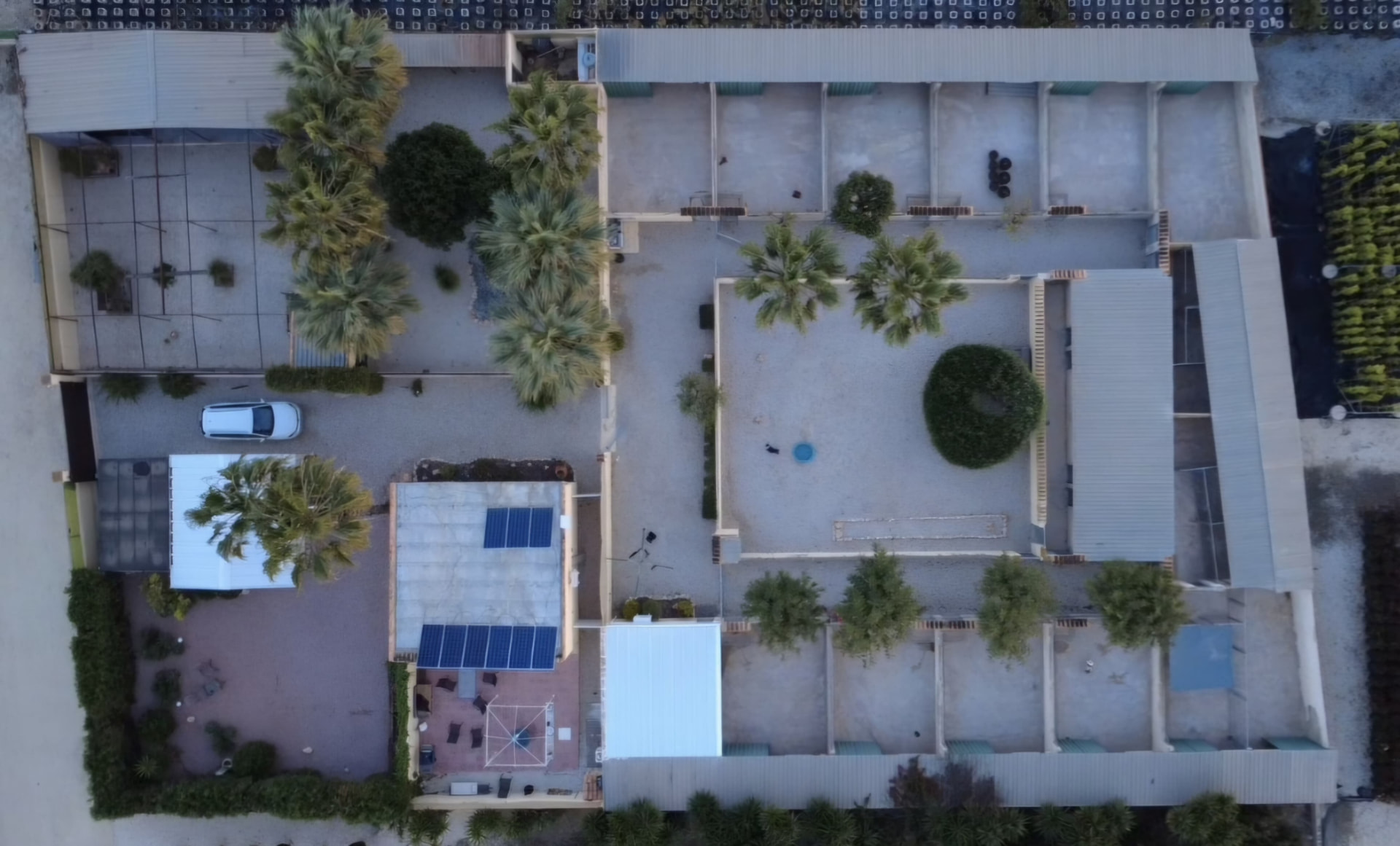 Space and professional facilities — life with our American Bullies near Alicante, Spain